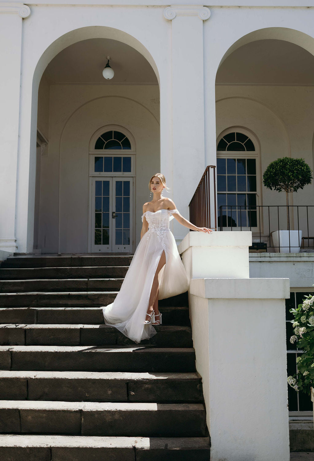 Arelia